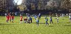 Rugby_2105.jpg