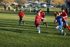 2011-01451.JPG